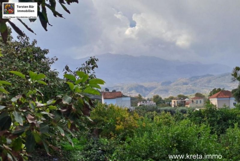 Armeni Kreta, Armeni, Advocado Farm 17.000m² mit Cottage 55m² Wfl. Gewerbe kaufen